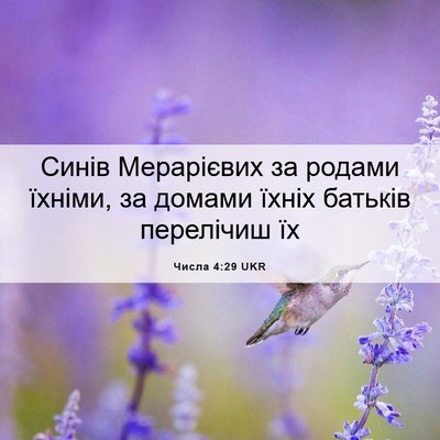 Picture 06 - Числа 4:29 UKR - Синів Мерарієвих за родами - Bible Verse Picture