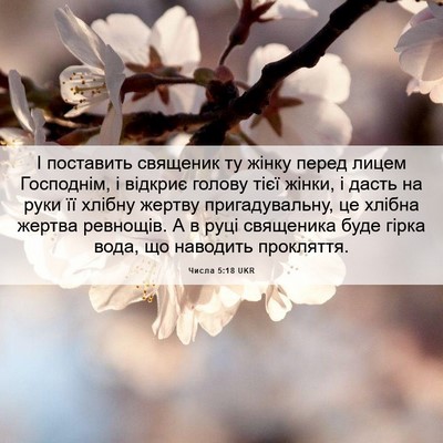Picture 06 - Числа 5:18 UKR - І поставить священик ту - Bible Verse Picture