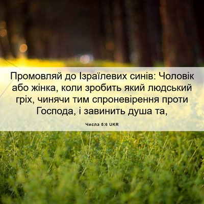 Picture 06 - Числа 5:6 UKR - Промовляй до Ізраїлевих - Bible Verse Picture