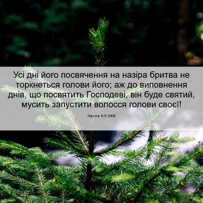 Picture 06 - Числа 6:5 UKR - Усі дні його посвячення на - Bible Verse Picture