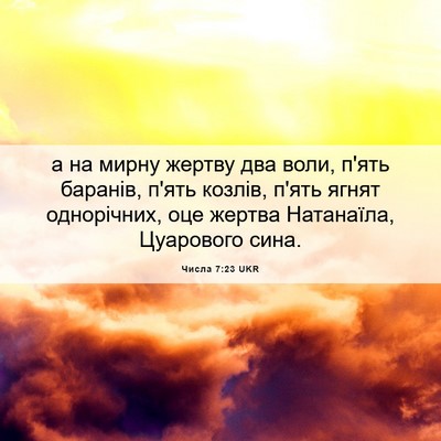 Picture 06 - Числа 7:23 UKR - а на мирну жертву два воли, - Bible Verse Picture