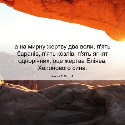 Picture 06 - Числа 7:29 UKR - а на мирну жертву два воли, - Bible Verse Picture
