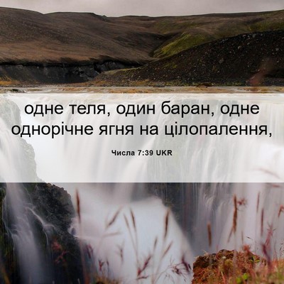 Picture 06 - Числа 7:39 UKR - одне теля, один баран, одне - Bible Verse Picture