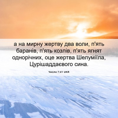 Picture 06 - Числа 7:41 UKR - а на мирну жертву два воли, - Bible Verse Picture