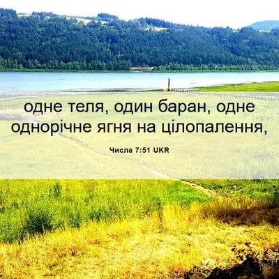 Picture 06 - Числа 7:51 UKR - одне теля, один баран, одне - Bible Verse Picture