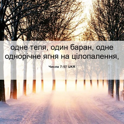 Picture 06 - Числа 7:57 UKR - одне теля, один баран, одне - Bible Verse Picture