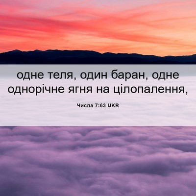 Picture 06 - Числа 7:63 UKR - одне теля, один баран, одне - Bible Verse Picture