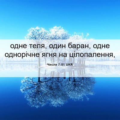 Picture 06 - Числа 7:81 UKR - одне теля, один баран, одне - Bible Verse Picture