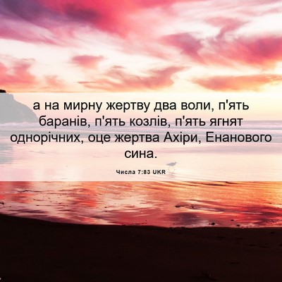 Picture 06 - Числа 7:83 UKR - а на мирну жертву два воли, - Bible Verse Picture