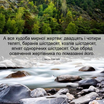Picture 06 - Числа 7:88 UKR - А вся худоба мирної жертви: - Bible Verse Picture