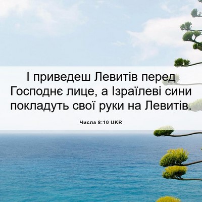 Picture 06 - Числа 8:10 UKR - І приведеш Левитів перед - Bible Verse Picture