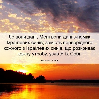 Picture 06 - Числа 8:16 UKR - бо вони дані, Мені вони - Bible Verse Picture