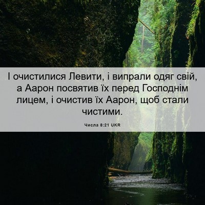 Picture 06 - Числа 8:21 UKR - І очистилися Левити, і - Bible Verse Picture