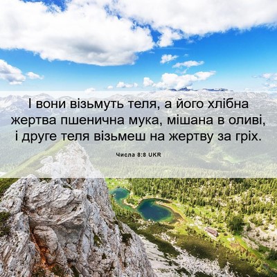 Picture 06 - Числа 8:8 UKR - І вони візьмуть теля, а - Bible Verse Picture