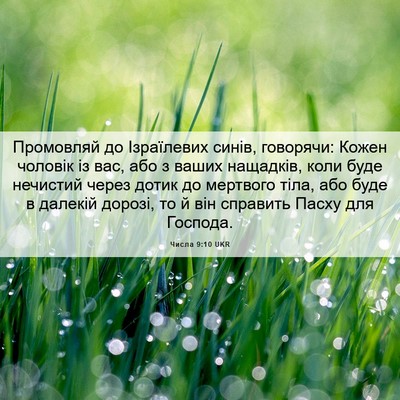 Picture 06 - Числа 9:10 UKR - Промовляй до Ізраїлевих - Bible Verse Picture