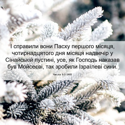 Picture 06 - Числа 9:5 UKR - І справили вони Пасху - Bible Verse Picture