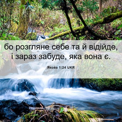 Picture 06 - Якова 1:24 UKR - бо розгляне себе та й - Bible Verse Picture