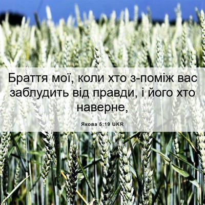 Picture 06 - Якова 5:19 UKR - Браття мої, коли хто - Bible Verse Picture