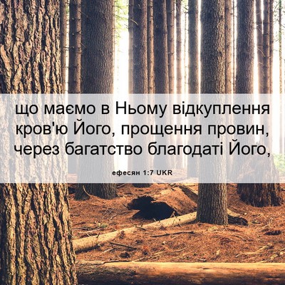 Picture 06 - ефесян 1:7 UKR - що маємо в Ньому - Bible Verse Picture