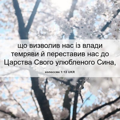 Picture 06 - колоссян 1:13 UKR - що визволив нас із влади - Bible Verse Picture