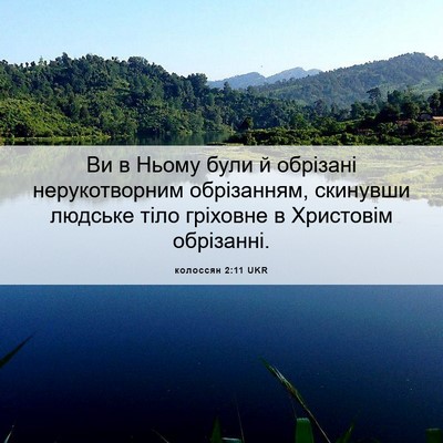 Picture 06 - колоссян 2:11 UKR - Ви в Ньому були й обрізані - Bible Verse Picture