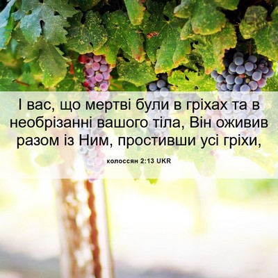 Picture 06 - колоссян 2:13 UKR - І вас, що мертві були в - Bible Verse Picture
