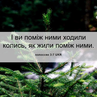 Picture 06 - колоссян 3:7 UKR - І ви поміж ними ходили - Bible Verse Picture