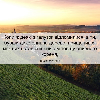 Picture 06 - римлян 11:17 UKR - Коли ж деякі з галузок - Bible Verse Picture