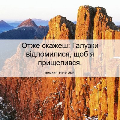 Picture 06 - римлян 11:19 UKR - Отже скажеш: Галузки - Bible Verse Picture