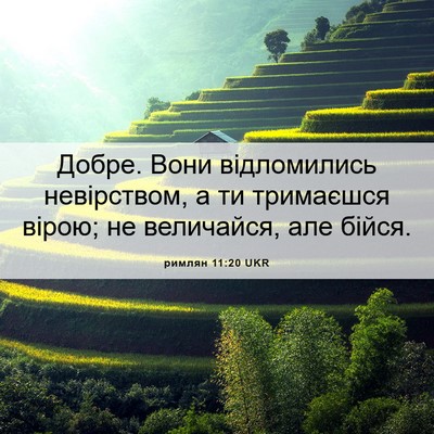 Picture 06 - римлян 11:20 UKR - Добре. Вони відломились - Bible Verse Picture