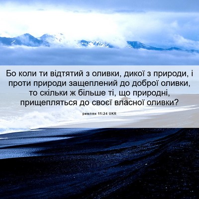 Picture 06 - римлян 11:24 UKR - Бо коли ти відтятий з - Bible Verse Picture