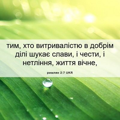 Picture 06 - римлян 2:7 UKR - тим, хто витривалістю в - Bible Verse Picture