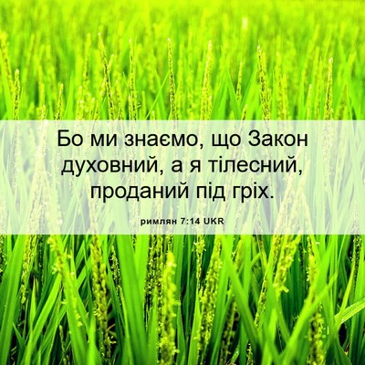Picture 06 - римлян 7:14 UKR - Бо ми знаємо, що Закон - Bible Verse Picture