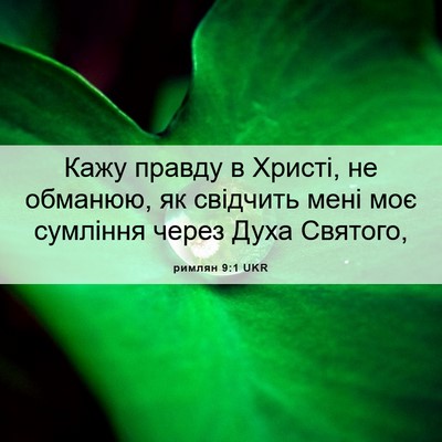 Picture 06 - римлян 9:1 UKR - Кажу правду в Христі, не - Bible Verse Picture