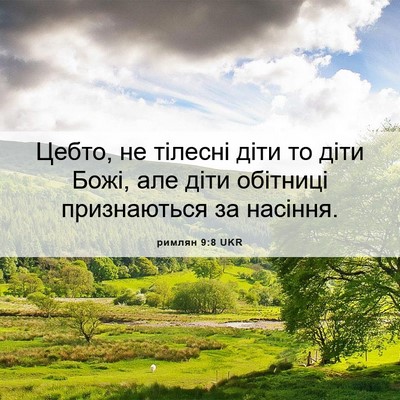 Picture 06 - римлян 9:8 UKR - Цебто, не тілесні діти то - Bible Verse Picture