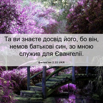 Picture 06 - филип'ян 2:22 UKR - Та ви знаєте досвід його, - Bible Verse Picture