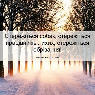 Picture 06 - филип'ян 3:2 UKR - Стережіться собак, - Bible Verse Picture