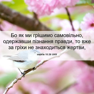Picture 06 - євреїв 10:26 UKR - Бо як ми грішимо - Bible Verse Picture