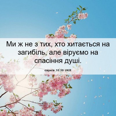 Picture 06 - євреїв 10:39 UKR - Ми ж не з тих, хто хитається - Bible Verse Picture