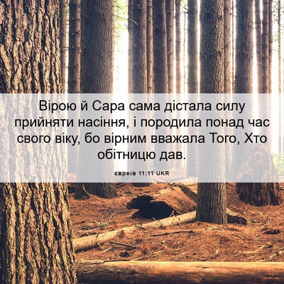 Picture 06 - євреїв 11:11 UKR - Вірою й Сара сама дістала - Bible Verse Picture