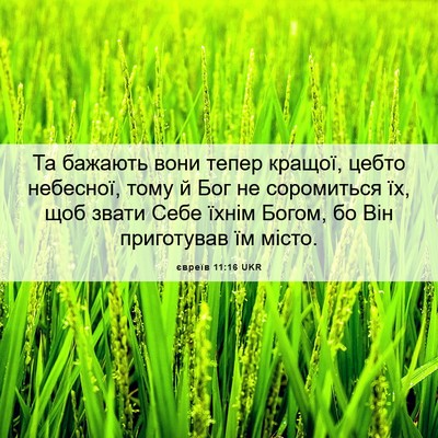 Picture 06 - євреїв 11:16 UKR - Та бажають вони тепер - Bible Verse Picture