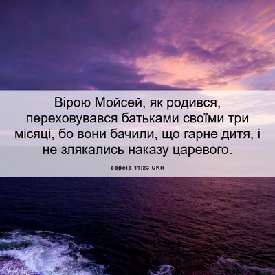 Picture 06 - євреїв 11:23 UKR - Вірою Мойсей, як родився, - Bible Verse Picture