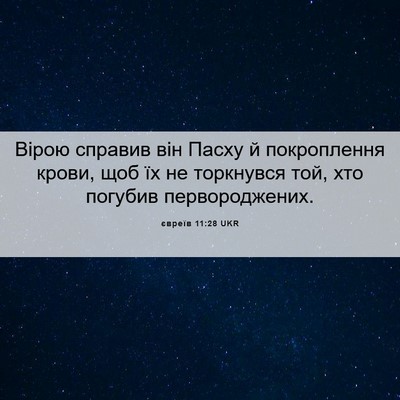 Picture 06 - євреїв 11:28 UKR - Вірою справив він Пасху й - Bible Verse Picture