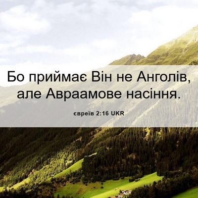 Picture 06 - євреїв 2:16 UKR - Бо приймає Він не Анголів, - Bible Verse Picture