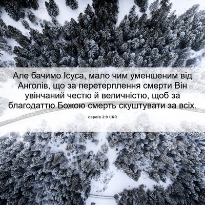 Picture 06 - євреїв 2:9 UKR - Але бачимо Ісуса, мало чим - Bible Verse Picture