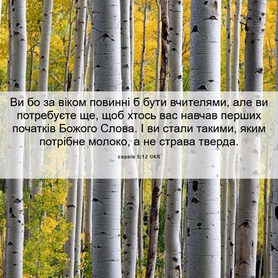 Picture 06 - євреїв 5:12 UKR - Ви бо за віком повинні б - Bible Verse Picture