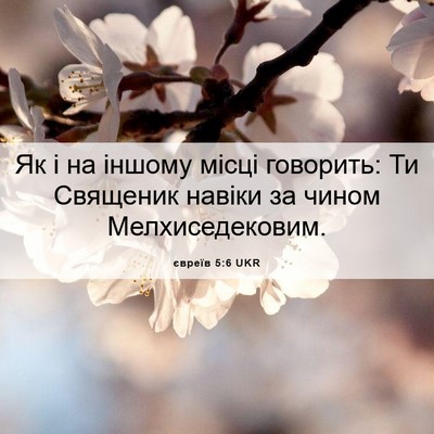 Picture 06 - євреїв 5:6 UKR - Як і на іншому місці - Bible Verse Picture