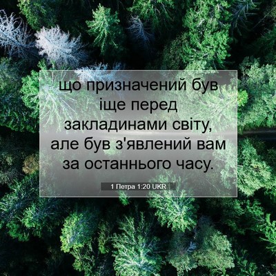 Picture 07 - 1 Петра 1:20 UKR - що призначений був іще - Bible Verse Picture