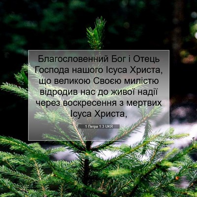 Picture 07 - 1 Петра 1:3 UKR - Благословенний Бог і Отець - Bible Verse Picture