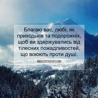 Picture 07 - 1 Петра 2:11 UKR - Благаю вас, любі, як - Bible Verse Picture